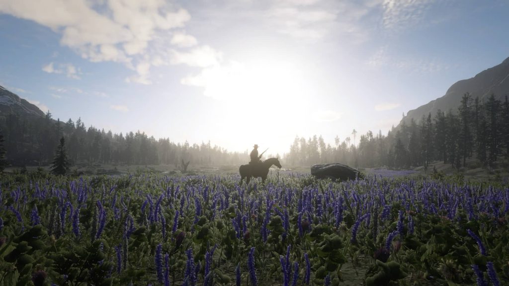 Red Dead Redemption 2 4