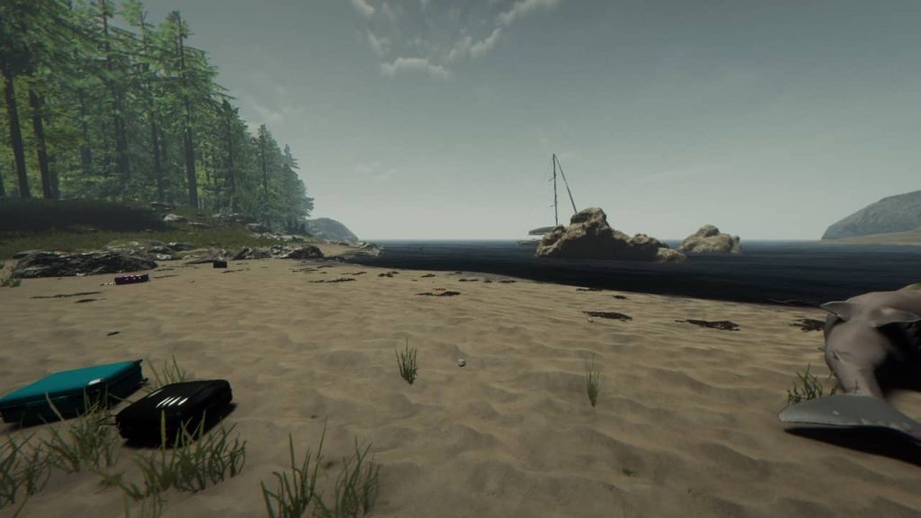 The Forest Sand beach looting