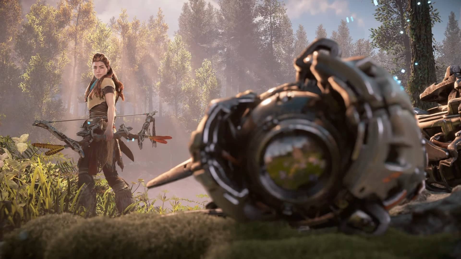 Horizon Zero Dawn Remastered Aloy destroyed the Hunter Horizon Zero Dawn Remastered Aloy destroyed the Hunter