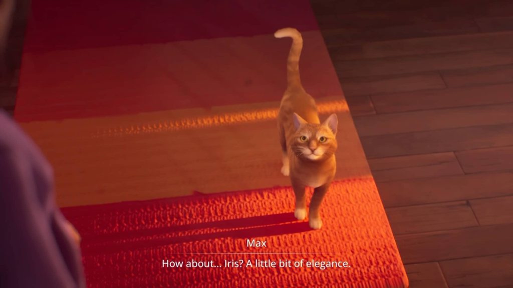 Life is Strange Double Exposure Stray Cat