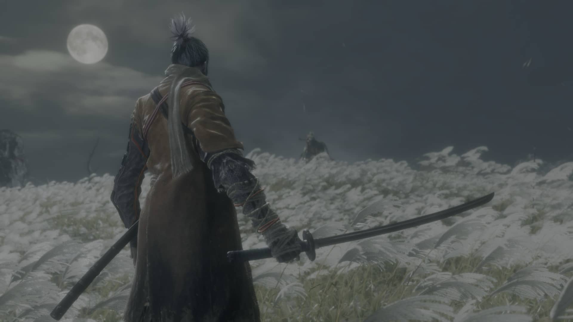 Sekiro Shadows Die Twice - First Encounter With Genichiro Ashina