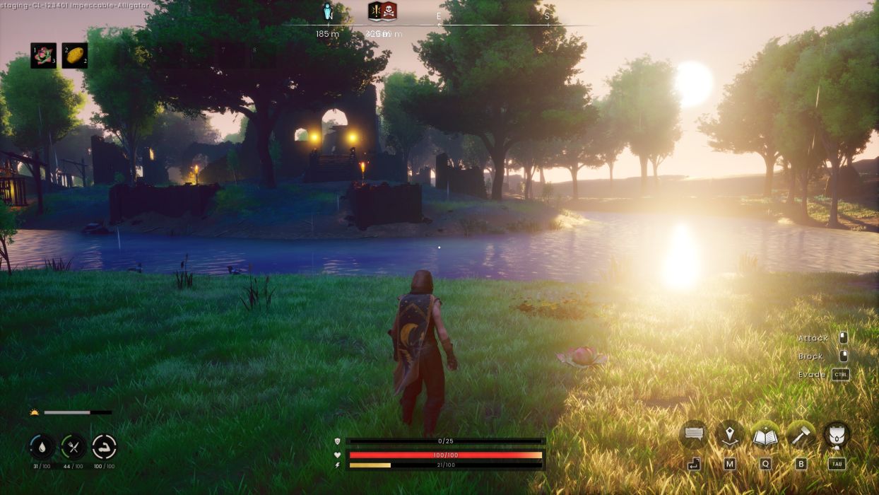 RuneScape Dragonwilds Environment Details