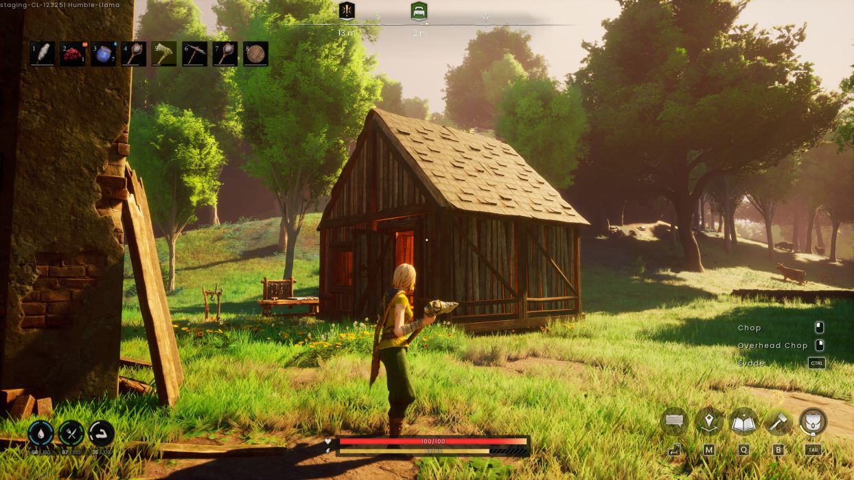 RuneScape Dragonwilds My First Cabin
