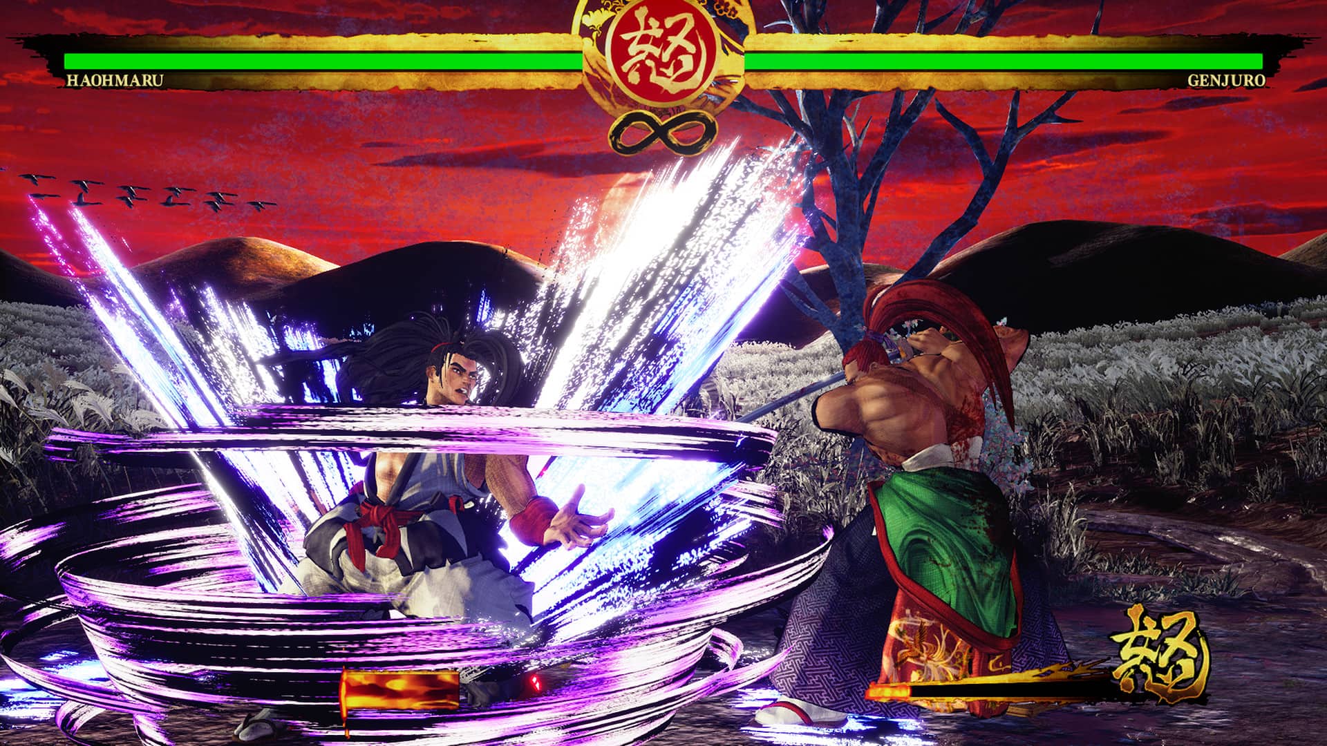 SAMURAI SHODOWN picture