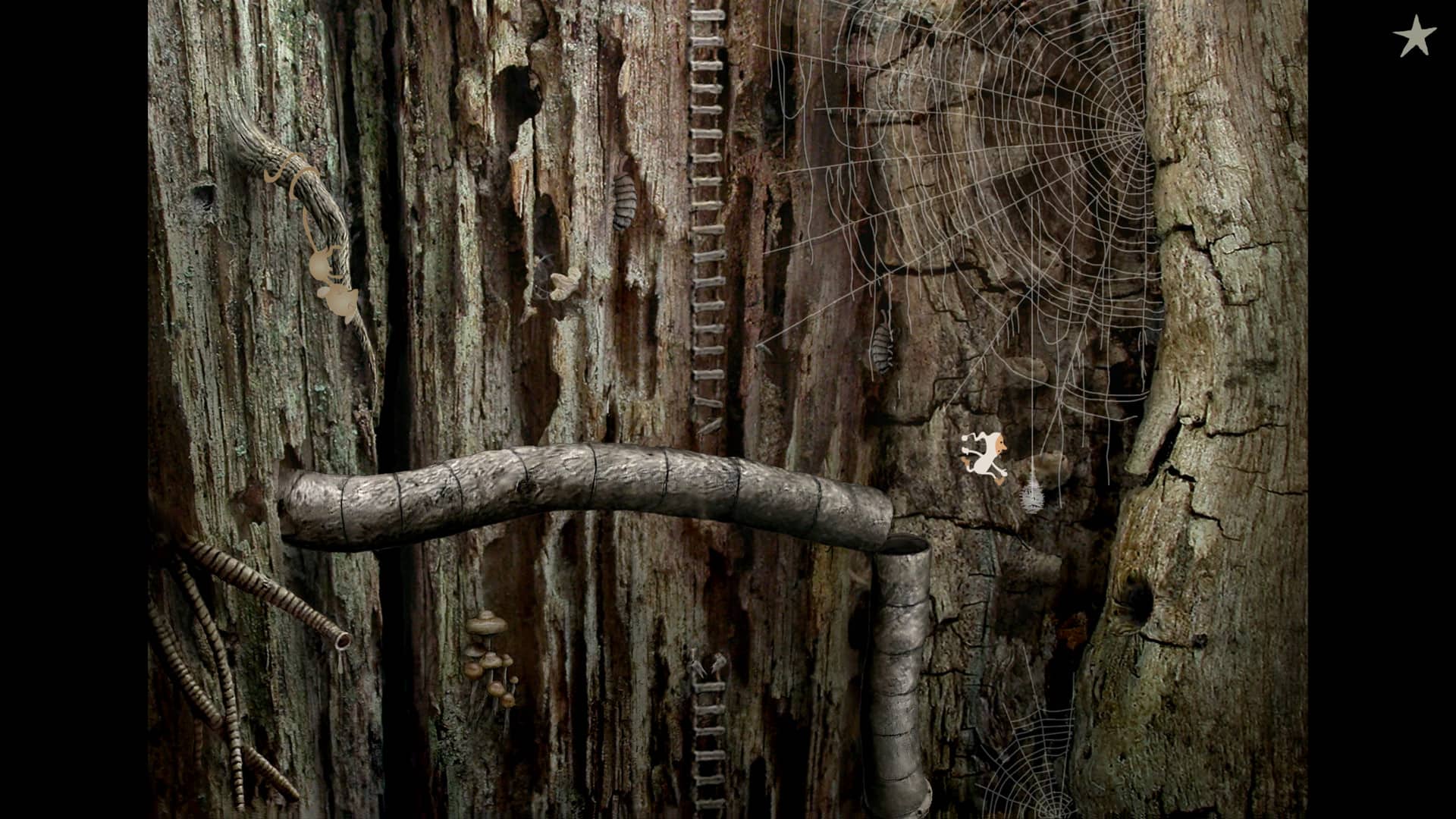 Samorost 2 Gameplay in cave and with spider picture